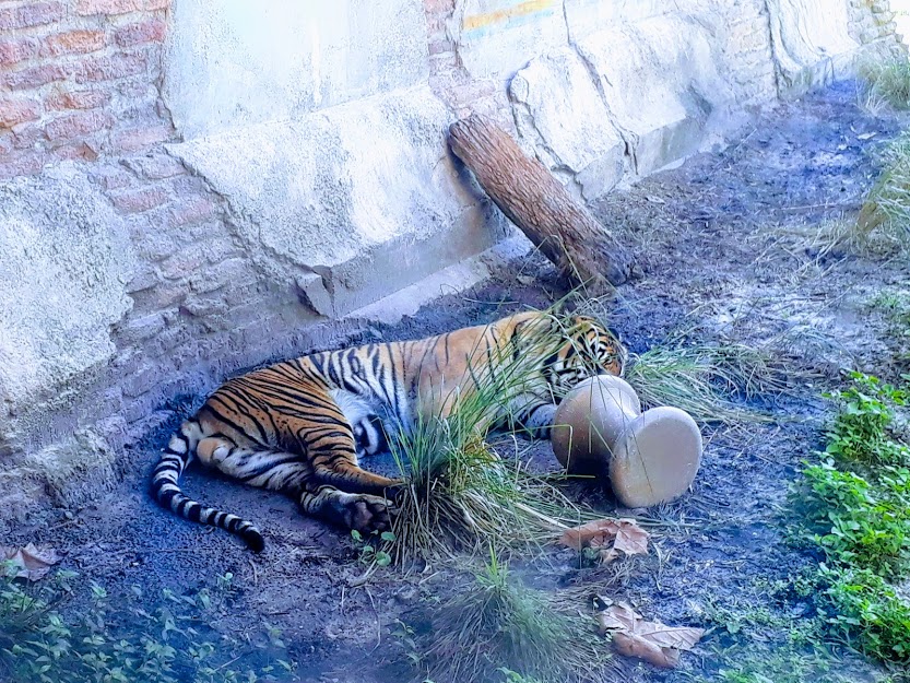 20181108_161319-EFFECTS (1).jpg